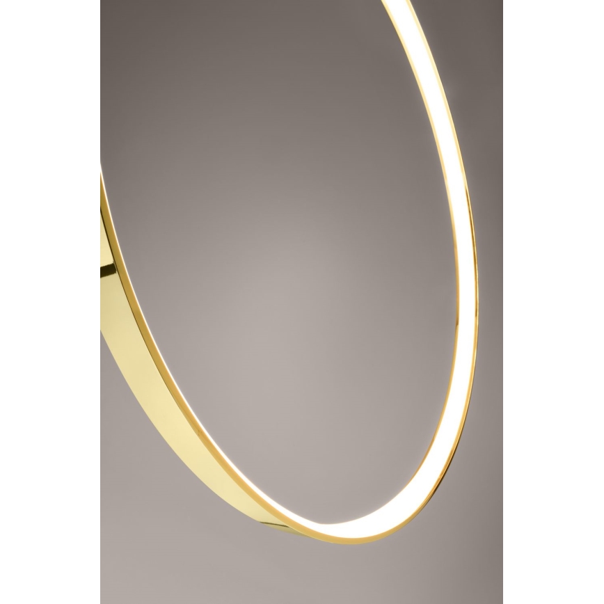 Thoro TH.248 - LED Luster na sajli RIO LED/50W/230V CRI 90 3000K pr. 78 cm zlatna