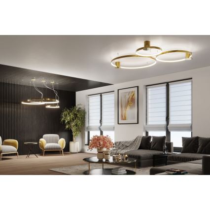 Thoro TH.252 - LED Stropna svjetiljka RIO LED/50W/230V CRI 90 3000K pr. 78 cm zlatna