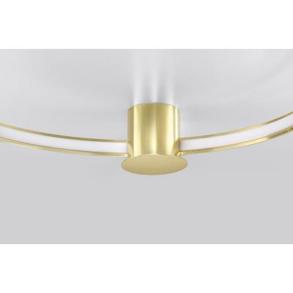 Thoro TH.252 - LED Stropna svjetiljka RIO LED/50W/230V CRI 90 3000K pr. 78 cm zlatna