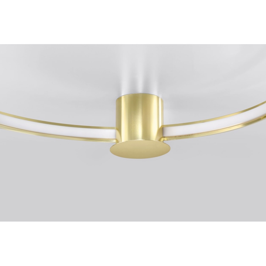 Thoro TH.252 - LED Stropna svjetiljka RIO LED/50W/230V CRI 90 3000K pr. 78 cm zlatna