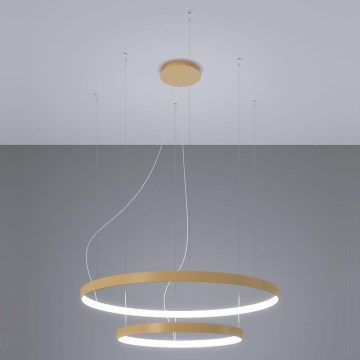 Thoro TH.268 - LED luster na užetu RIO LED/80W/230V CRI 95 4000K zlatna