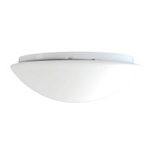 Top Light 5501/40/LED - LED Stropna svjetiljka 1xLED/24W/230V