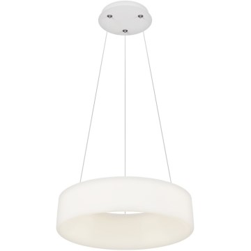 Top Light - LED Dimerizabilni luster HALO LED/40W/230V 3000-6500K prečnika 44 cm + daljinsko upravljanje