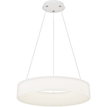 Top Light - LED Dimmable viseća lampa HALO LED/60W/230V 3000-6500K ø 60 cm + daljinski upravljač