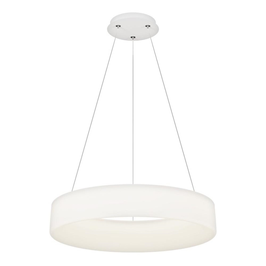 Top Light - LED Dimmable viseća lampa HALO LED/60W/230V 3000-6500K ø 60 cm + daljinski upravljač