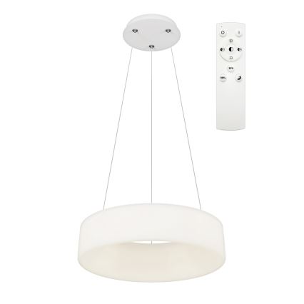 Top Light - LED prigušivi luster na sajli HALO LED/40W/230V 3000-6500K pr. 44 cm + daljinski upravljač