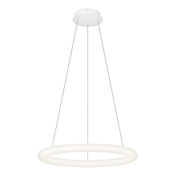 Top Light - LED luster s mogućnošću prigušivanja na užetu RINGO LED/40W/230V 3000-6500K bijela + daljinski upravljač