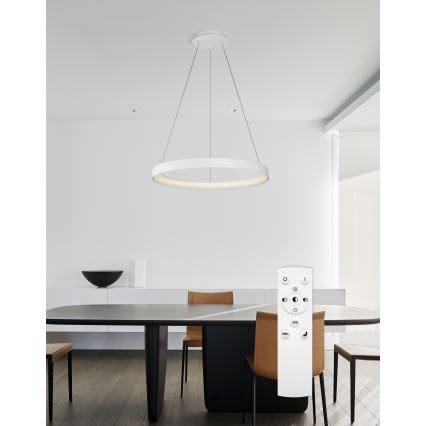 Top Light - LED Prigušivi luster na sajli ORBIT LED/40W/230V 3000-6500K pr. 50 cm bijela + daljinski upravljač