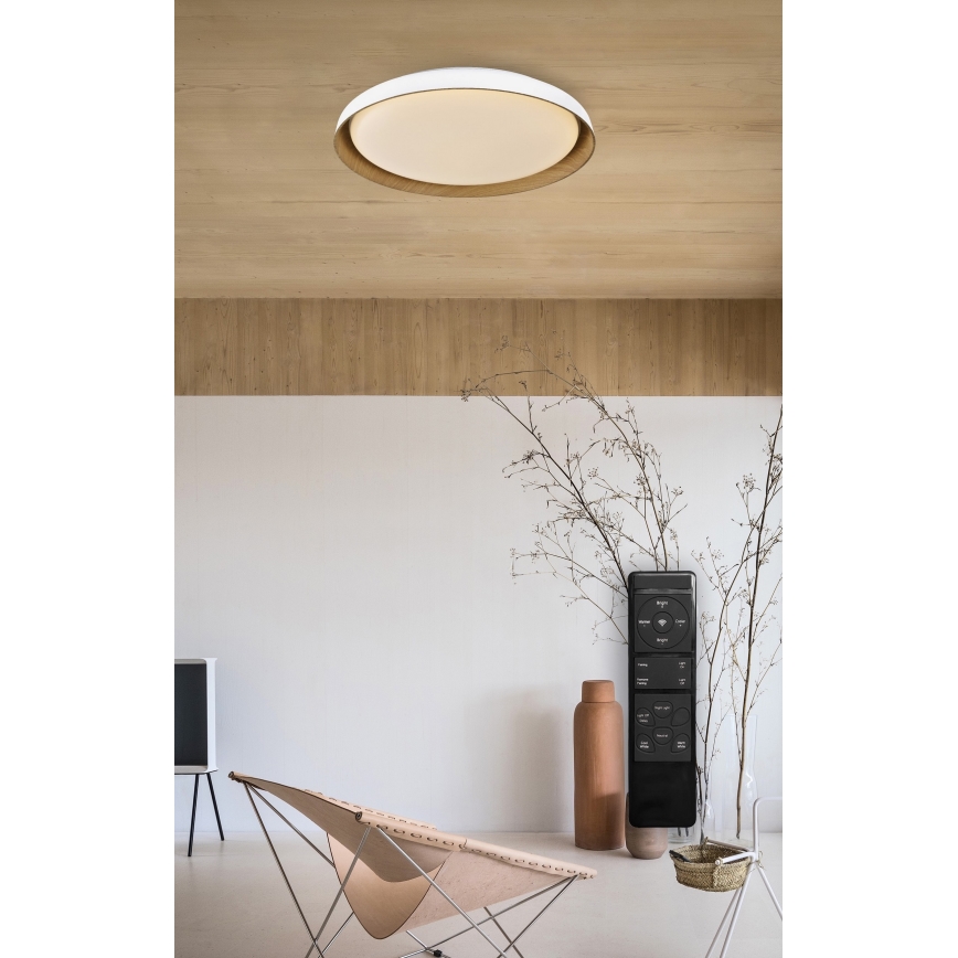 Top Light - LED Prigušiva stropna svjetiljka SATELLITE LED/48W/230V 3000-6500K pr. 53 cm bijela/smeđa + daljinski upravljač