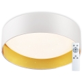 Top Light - LED Prigušiva stropna svjetiljka IVONA 40B RC LED/24W/230V + daljinski upravljač bijela