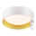 Top Light - LED Prigušiva stropna svjetiljka IVONA 40B RC LED/24W/230V + daljinski upravljač bijela