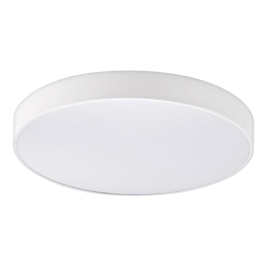 Top Light - LED Prigušiva stropna svjetiljka za kupaonicu PETAL LED/48W/230V IP44 3000-6500K pr. 48 cm bijela + daljinski upravljač