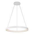 Top Light - LED prigušivački luster na užetu ORBIT LED/40W/230V 3000-6500K promjer 50 cm bijela + daljinski upravljač