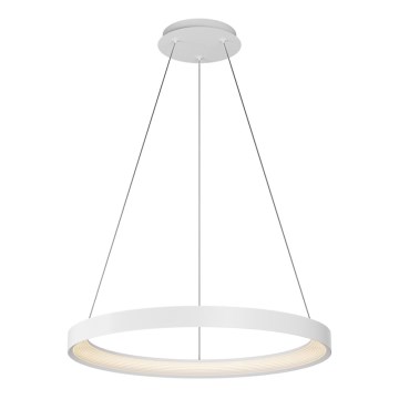 Top Light - LED prigušivački luster na užetu ORBIT LED/40W/230V 3000-6500K promjer 50 cm bijela + daljinski upravljač