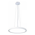 Top Light - LED prigušivački luster na užetu REVIT LED/36W/230V 3000-6500K promjer 40 cm bijela + daljinski upravljač