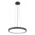 Top Light - LED prigušivački luster na užetu REVIT LED/36W/230V 3000-6500K promjer 40 cm crna + daljinski upravljač