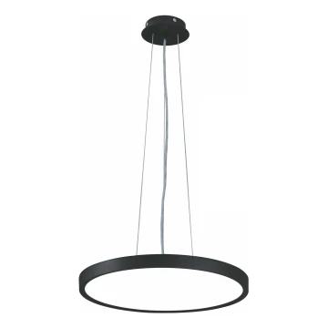 Top Light - LED prigušivački luster na užetu REVIT LED/36W/230V 3000-6500K promjer 40 cm crna + daljinski upravljač