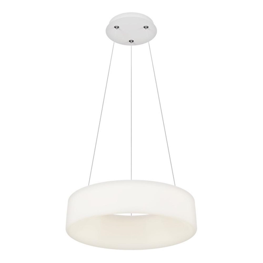 Top Light - LED prigušivi luster na sajli HALO LED/40W/230V 3000-6500K pr. 44 cm + daljinski upravljač