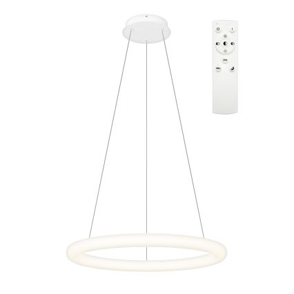 Top Light - LED luster s mogućnošću prigušivanja na užetu RINGO LED/40W/230V 3000-6500K bijela + daljinski upravljač