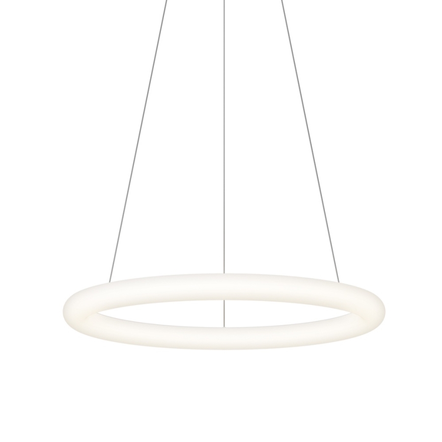 Top Light - LED luster s mogućnošću prigušivanja na užetu RINGO LED/40W/230V 3000-6500K bijela + daljinski upravljač