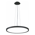 Top Light - LED prigušivi luster na užetu REVIT LED/50W/230V 3000-6500K promjer 60 cm crna + daljinski upravljač