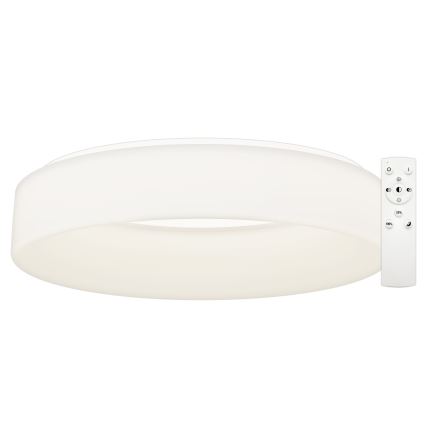 Top Light - LED stropna svjetiljka s prigušivanjem HALO LED/60W/230V 3000–6500K Ø 60 cm bijela + daljinski upravljač