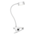 Top Light - LED Regulabilna dodirna stolna lampa s isječkom BELLA LED/4,8W/5V 3000-6500K bijela