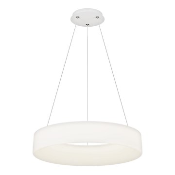 Top Light - LED Stmavljivi viseći luster HALO LED/60W/230V 3000-6500K pr. 60 cm + daljinski upravljač