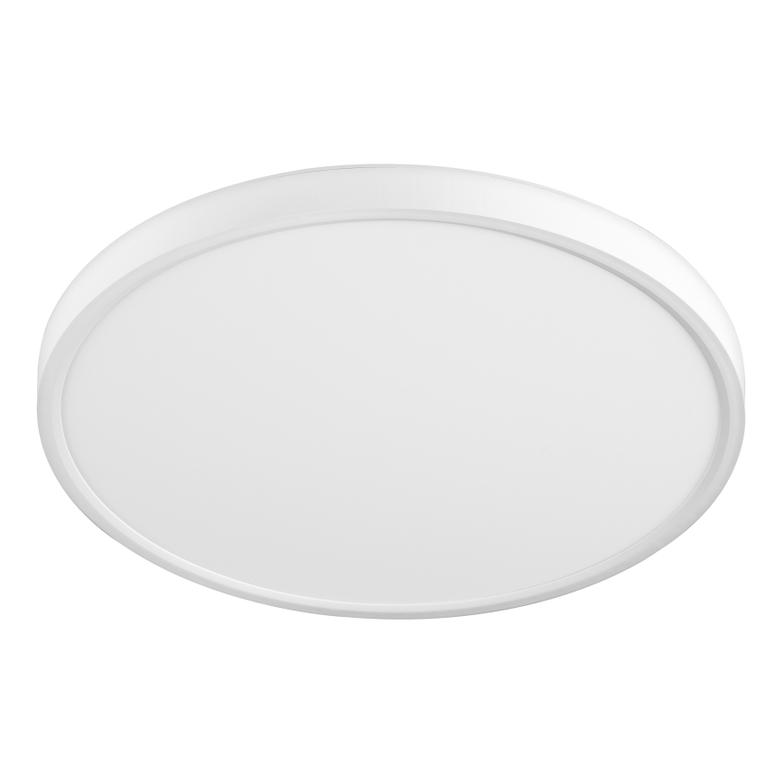Top Light - LED Stropna svjetiljka REVIT LED/24W/230V 3000/4000/6500K pr. 30 cm bijela