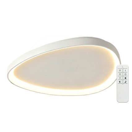 Top Light - LED stropno svjetlo s prigušivanjem ECLIPSE LED/55W/230V 3000-6500K pr. 60 cm bijela + daljinski upravljač