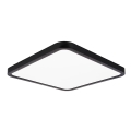 Top Light - LED stropna svjetiljka s prigušivanjem REVIT LED/36W/230V 3000-6500K 40x40 cm crna + daljinski upravljač
