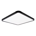 Top Light - LED stropna svjetiljka s prigušivanjem REVIT LED/50W/230V 3000-6500K 50x50 cm crna + daljinski upravljač