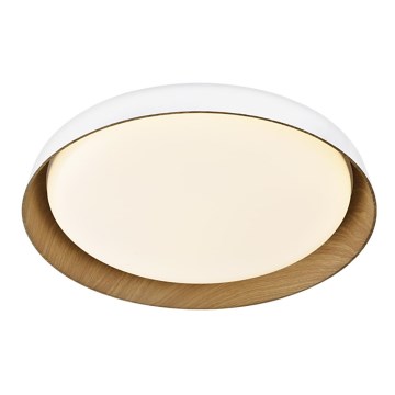 Top Light - LED stropna svjetiljka s prigušivanjem SATELLITE LED/36W/230V 3000-6500K promjer 43 cm bijela/smeđa + daljinski upravljač