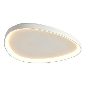 Top Light - LED stropno svjetlo s prigušivanjem ECLIPSE LED/55W/230V 3000-6500K pr. 60 cm bijela + daljinski upravljač