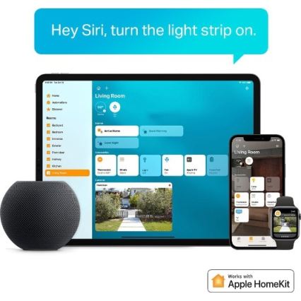 TP-Link - LED RGBW prigušiva traka 5 m LED/13W/230V Wi-Fi