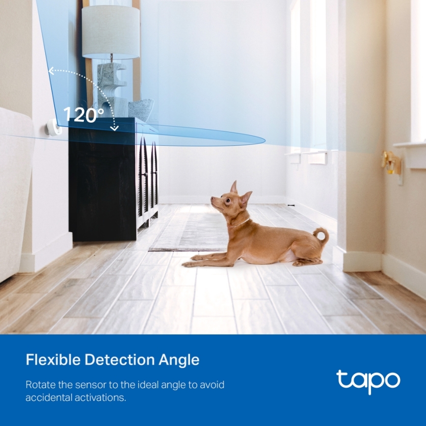 TP-Link - Pametni senzor pokreta 1xCR2450 Wi-Fi