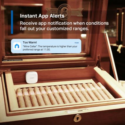 TP-Link - Pametni senzor za mjerenje temperature i vlažnosti 1xCR2450