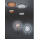 TRIO - LED luster na sajli za prigušivanje ZENIT 1xLED/19W/230V