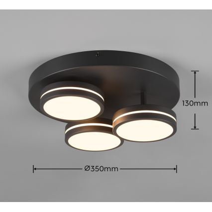 Trio - LED prigušivo stropno svjetlo FRANKLIN 3xLED/8,5W/230V 3000K Ø 35 cm crna