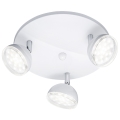 Trio - LED Reflektorska svjetiljka BOLOU 3xLED/3,8W/230V