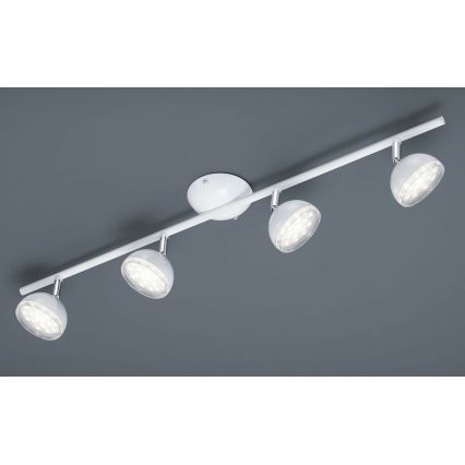 Trio - LED Reflektorska svjetiljka BOLOU 4xLED/3,8W/230V