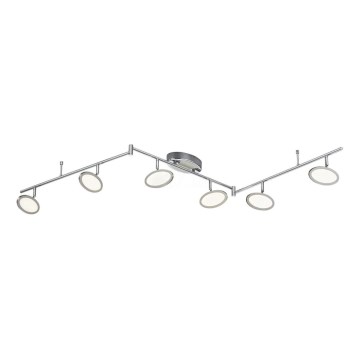 TRIO - LED Reflektorska svjetiljka DUELLANT 6xLED/4,3W/230V 3000K