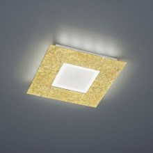 Trio - LED Stropna svjetiljka CHIROS LED/12W/230V + LED/3,5W