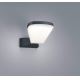 TRIO - LED Vanjska zidna svjetiljka VOLTURNO LED/5,5W/230V IP54