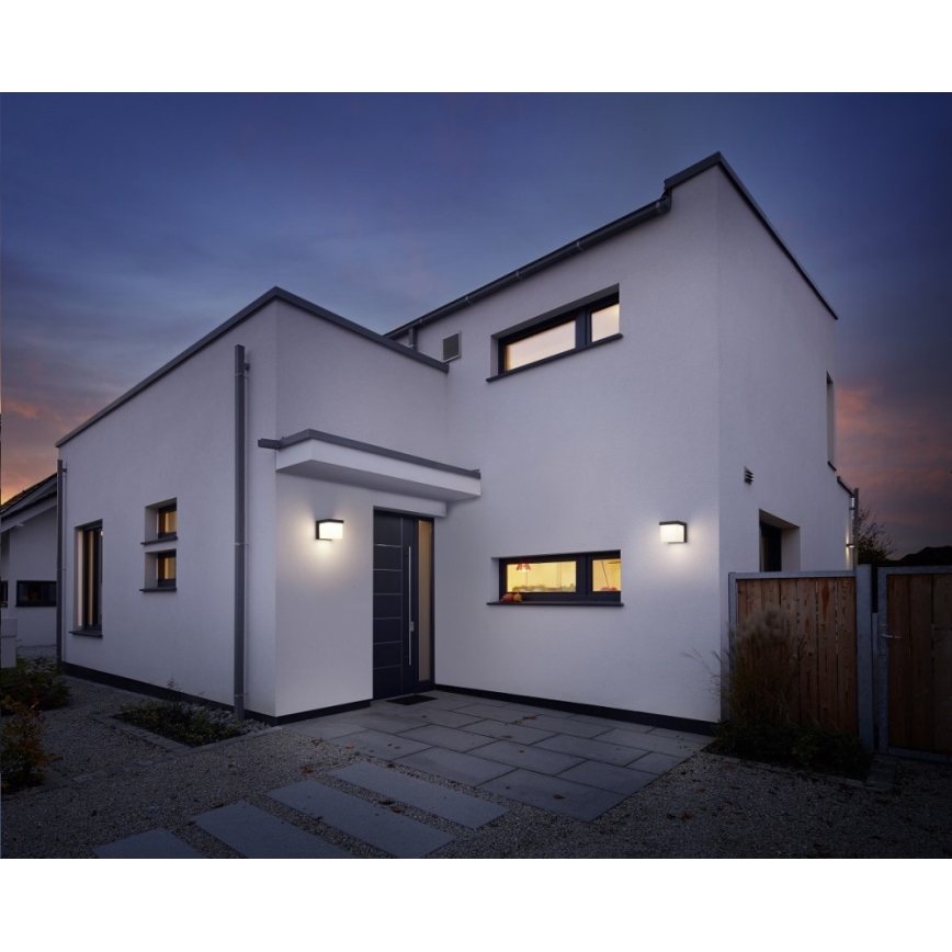 Trio - LED Vanjska zidna svjetiljka YANGTZE LED/4,5W/230V IP54 3000K