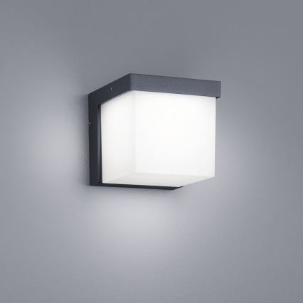 Trio - LED Vanjska zidna svjetiljka YANGTZE LED/4,5W/230V IP54 3000K