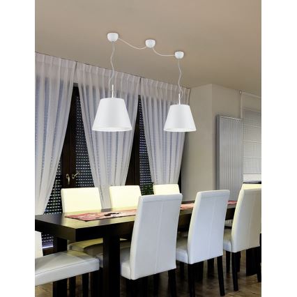 Trio - Luster na sajli ANDREUS 2xE27/60W/230V