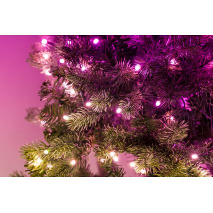 Twinkly - LED RGB Prigušivi božićni vijenac 50xLED pr. 60 cm Wi-Fi