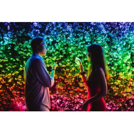 Twinkly - LED RGB Prigušive vanjske božićne lampice STRINGS 100xLED 11,5m IP44 Wi-Fi
