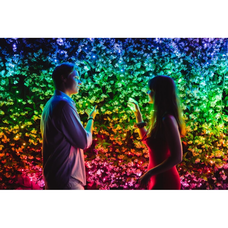 Twinkly - LED RGB Prigušive vanjske božićne lampice STRINGS 100xLED 11,5m IP44 Wi-Fi